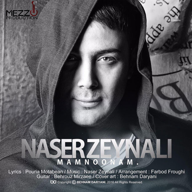 ممنونم - ناصر زینعلی